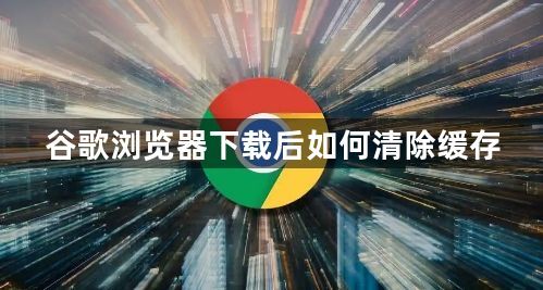 谷歌浏览器下载后如何清除缓存1