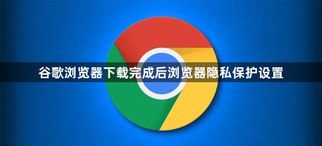 谷歌浏览器下载完成后浏览器隐私保护设置1