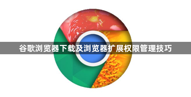 谷歌浏览器下载及浏览器扩展权限管理技巧1
