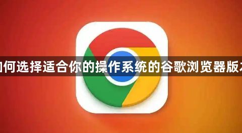 如何选择适合你的操作系统的谷歌浏览器版本1