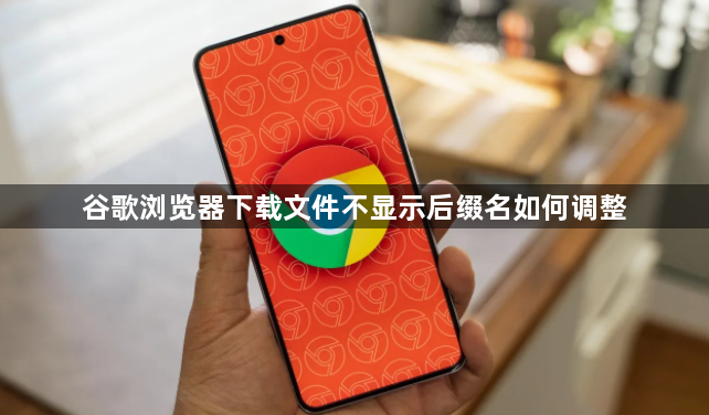 谷歌浏览器下载文件不显示后缀名如何调整1
