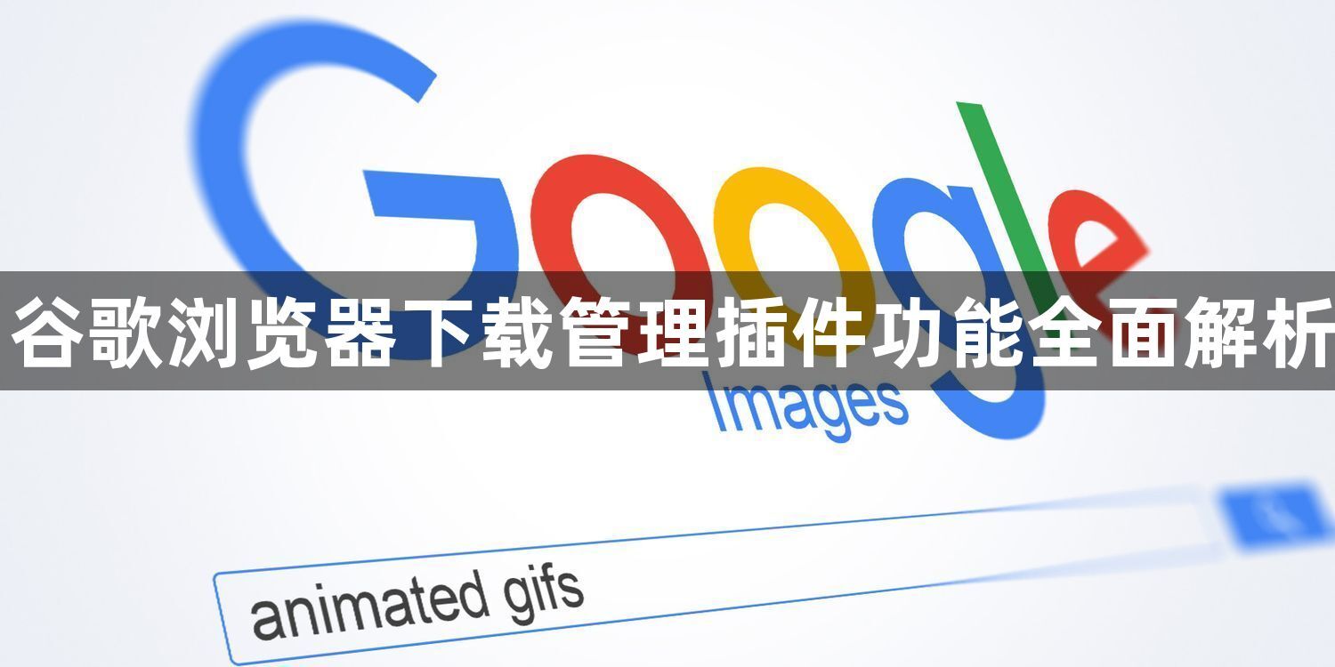 谷歌浏览器下载管理插件功能全面解析1