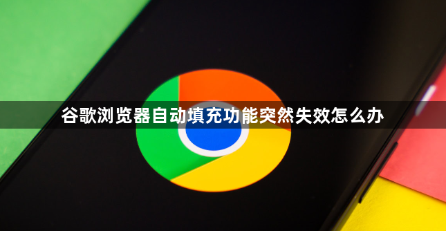 谷歌浏览器自动填充功能突然失效怎么办1