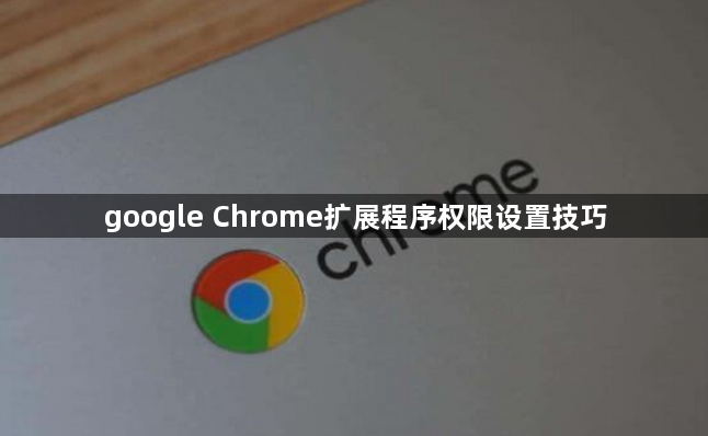google Chrome扩展程序权限设置技巧1
