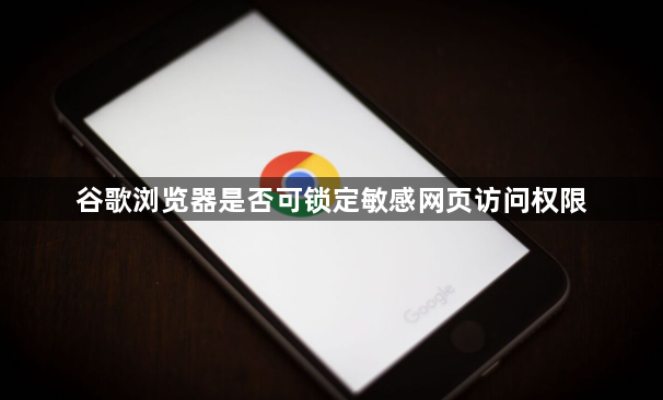 谷歌浏览器是否可锁定敏感网页访问权限1
