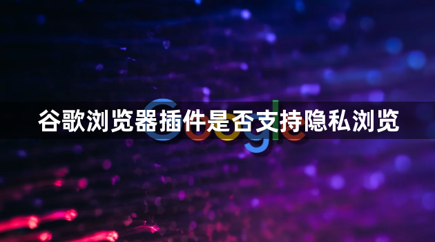 谷歌浏览器插件是否支持隐私浏览1