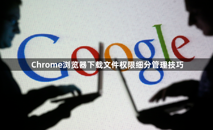 Chrome浏览器下载文件权限细分管理技巧1