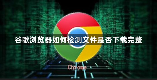谷歌浏览器如何检测文件是否下载完整1