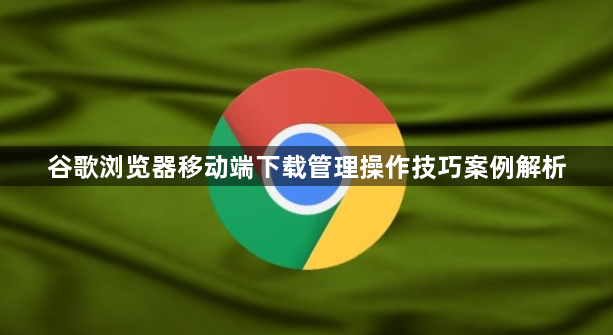 谷歌浏览器移动端下载管理操作技巧案例解析1