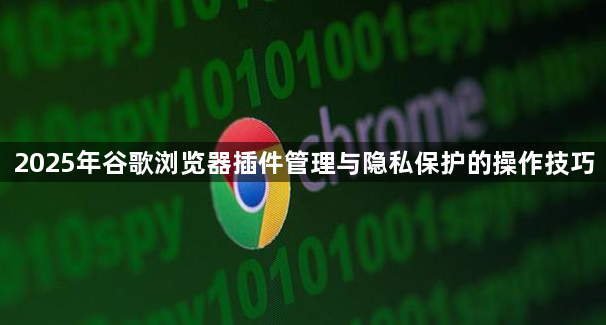 2025年谷歌浏览器插件管理与隐私保护的操作技巧1