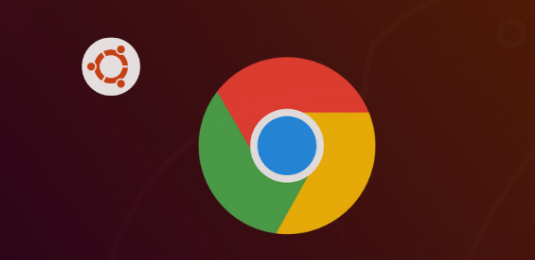 google浏览器下载完成后插件预配置操作教程