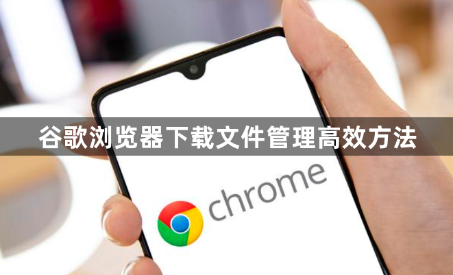 谷歌浏览器下载文件管理高效方法1