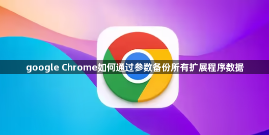 google Chrome如何通过参数备份所有扩展程序数据1